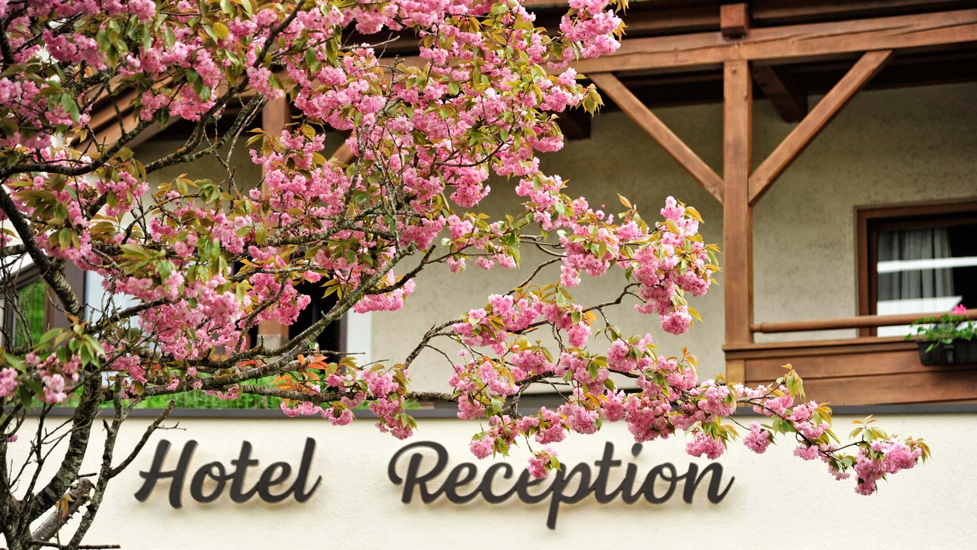 Fischerwirt Am Achensee Hotel Achenkirch Exterior foto
